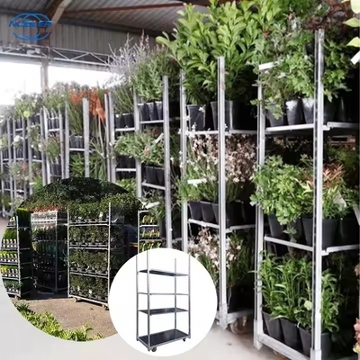 عربة الزهور الدنماركية المقاومة للماء مع الزنك المسالك الساخن وطبقة شبكة الشبكة