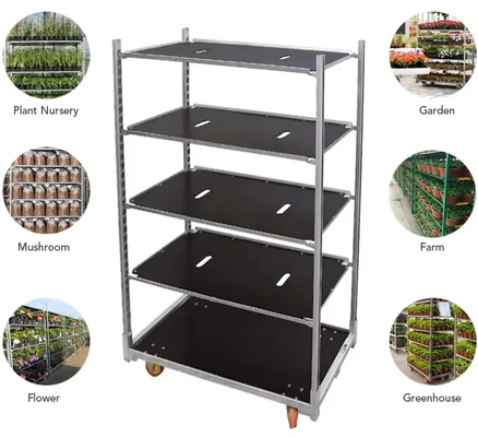 عربات زراعة الزهور الدنماركية المطلية بالمسحوق للحصاد في البيوت الزجاجية